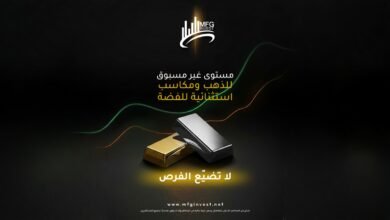 صورة توضيحية - ما هي الأدوات المالية التي توفرها MFG INVEST للتداول العالمي؟