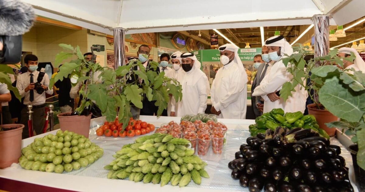 خطة تعاقدية لبنانية تهدف لخفض الهدر وزيادة تصدير الفواكه إلى الخليج
