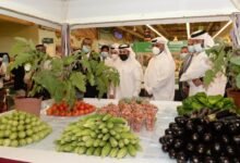 خطة تعاقدية لبنانية تهدف لخفض الهدر وزيادة تصدير الفواكه إلى الخليج