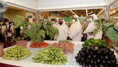 خطة تعاقدية لبنانية تهدف لخفض الهدر وزيادة تصدير الفواكه إلى الخليج
