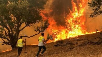 الجزائر تعلن عن ارتفاع حصيلة الوفيات إلى 34 جرّاء الحرائق