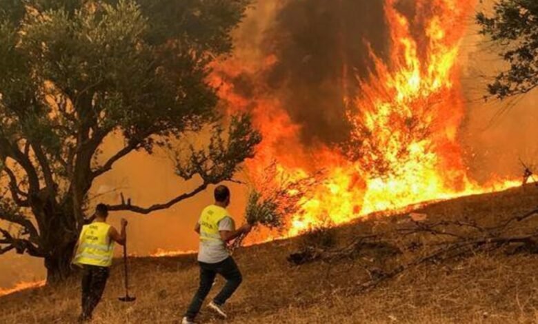 الجزائر تعلن عن ارتفاع حصيلة الوفيات إلى 34 جرّاء الحرائق