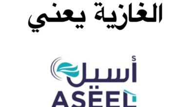 شركة أسيل تكتسح سوق المواد الغذائية في الغازية