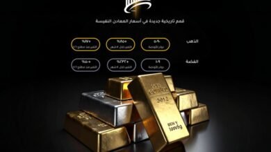 عندما تتقن لغة المال… MFG Invest تغيّر نتائج التداول باحترافية ذكية