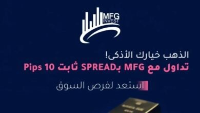 كل ما تريد معرفته عن شركة MFGinvest