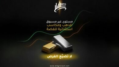 ما هي الأدوات المالية التي توفرها MFG INVEST للتداول العالمي؟